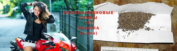 спайс Гусиноозёрск