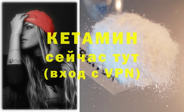 шишки Дмитриев