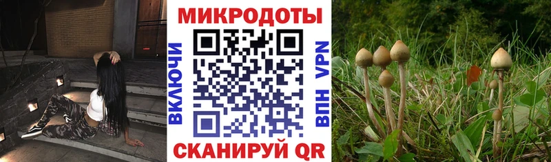 кракен зеркало  где купить наркоту  Кимовск  Галлюциногенные грибы мухоморы 